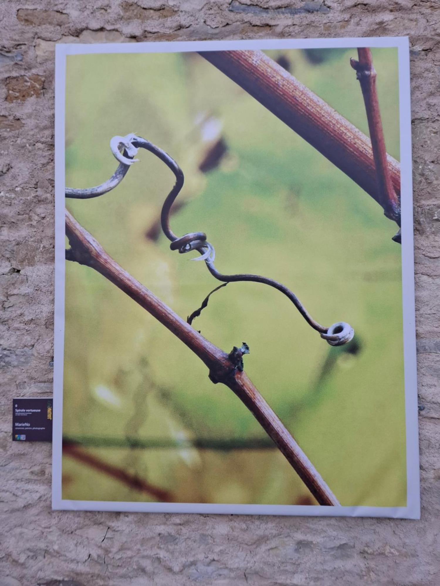 Maison d'Eusébia Château-Chalon Esterno foto
